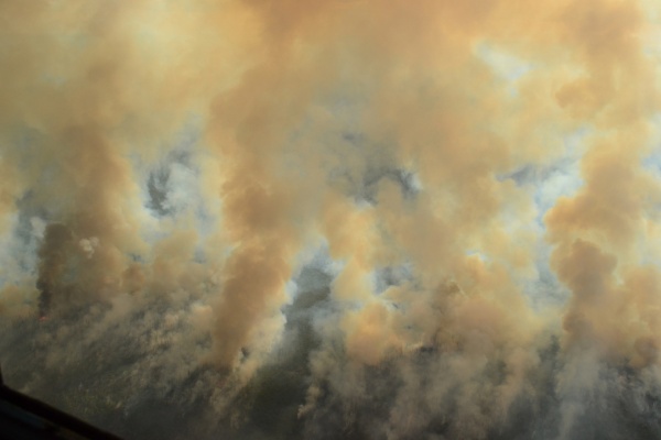 1_From Above - 1.jpg